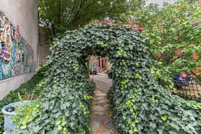 Garden - 807 E Passyunk Ave Unit 807 E Passyunk Ave  1