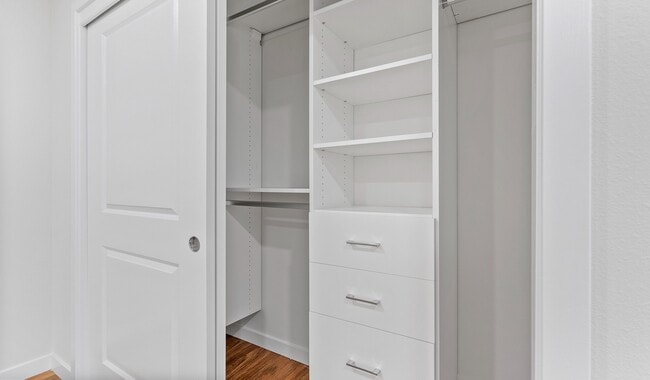 New custom closets with ample hanging and shelf space.