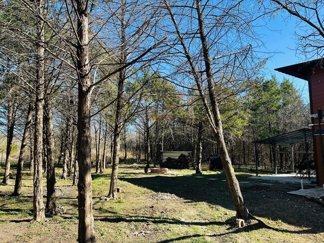 Photo - 1180 Mesquite Tree Rd