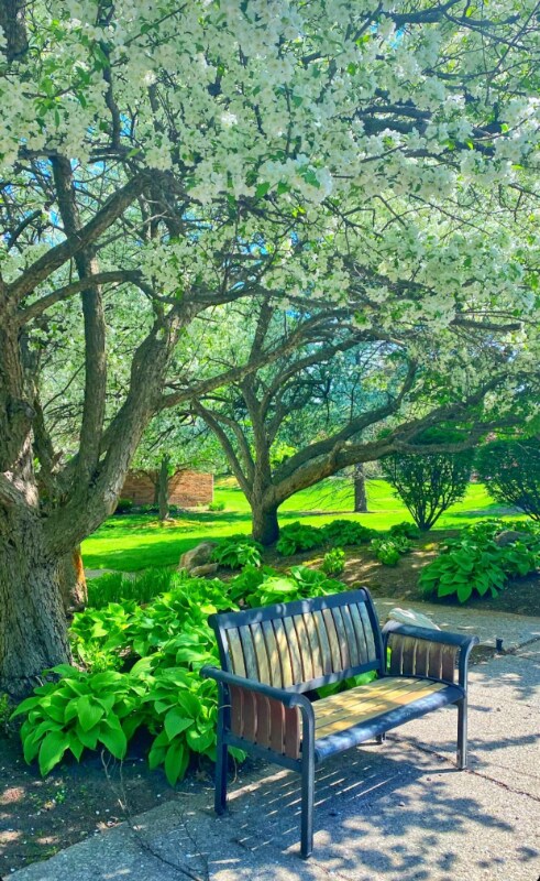 Photo - 29822 Indian Trail