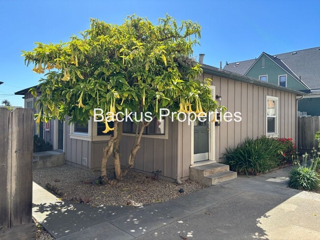 Building Photo - 155 Archer St Unit B