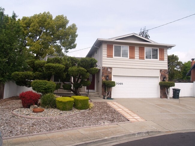 RENT WILL BE $3950 THROUGH MAY 2026! - RENT WILL BE $3950 THROUGH MAY 2026!