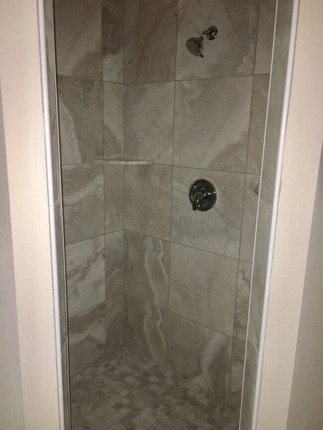 Master Shower - 810 E Gottsche Ave