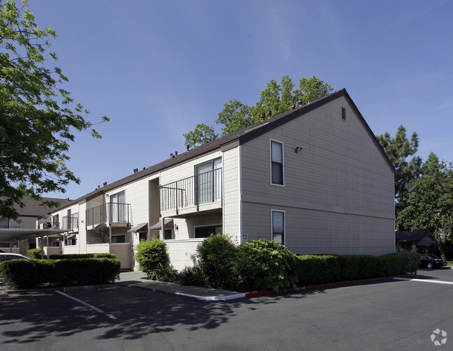 Shadetree South - Shadetree North & South