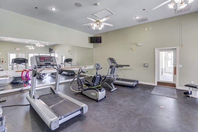 Photo - Whispering Palms