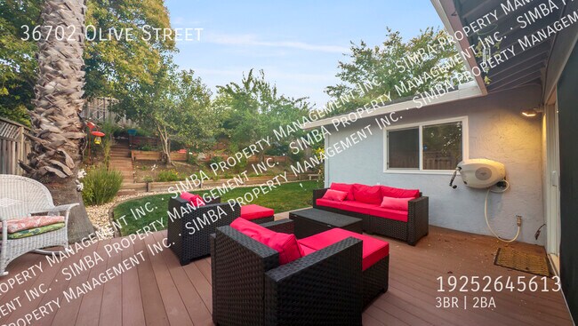 Photo - 36702 Olive St