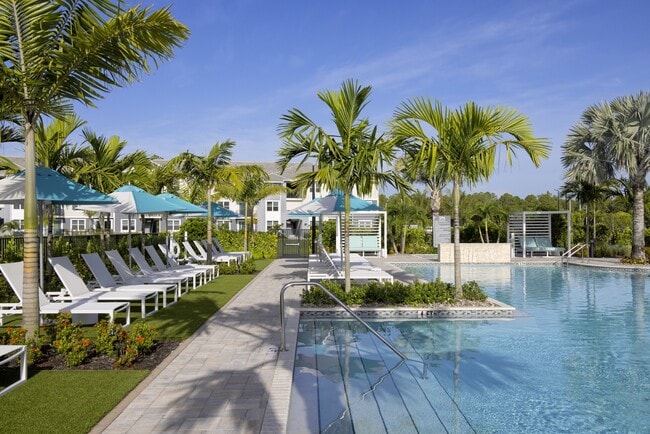 Heated Pool and Sun Loungers at Everly Apartments in Naples, FL - Everly