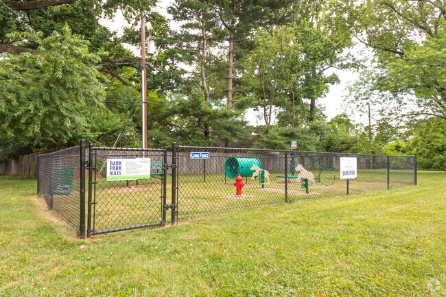 Dog Park
