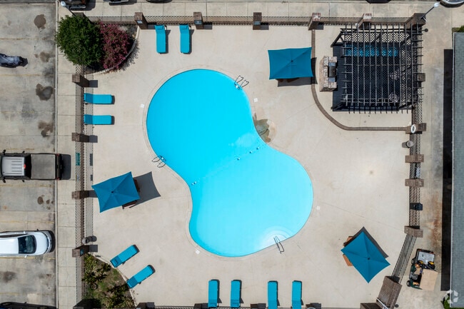 Piscina - Axis on Beltline
