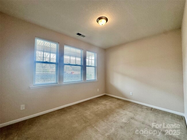 Photo - 4531 Hubbard Falls Dr