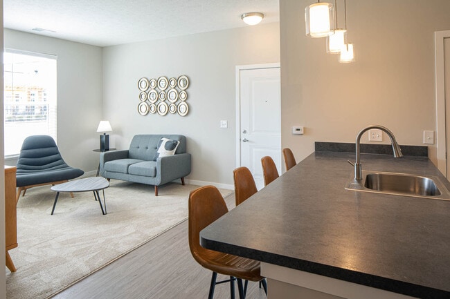 Photo - Killarney Woods