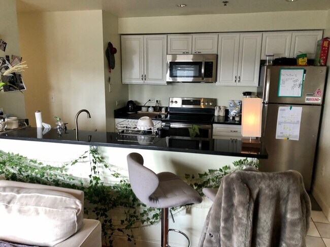 Building Photo - 533 Commonwealth Ave