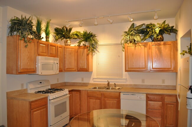 Photo - 203 Williams St Unit 3
