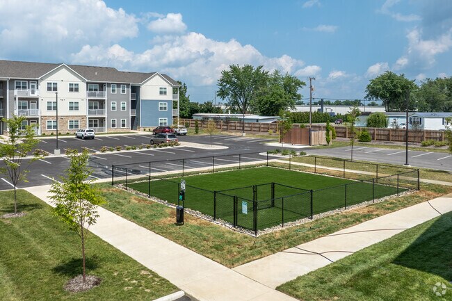 Dog Park