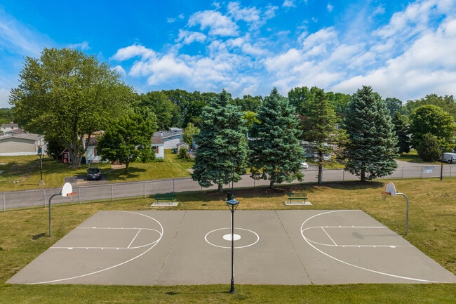 Photo - Sashabaw Meadows