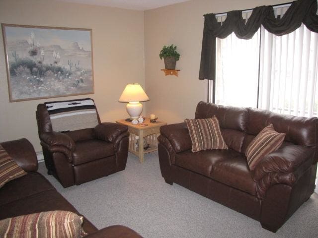 Living Area - Terraceview Apartments