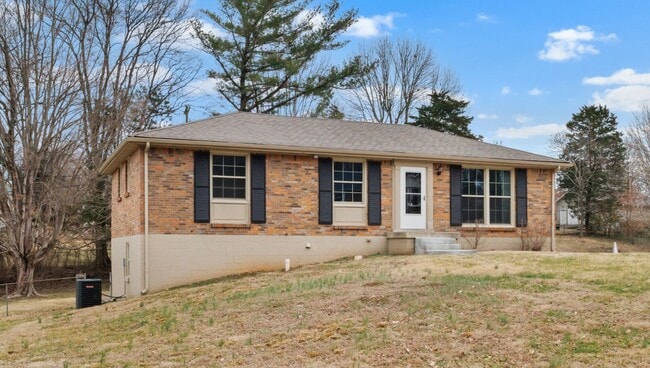 115 W Park Dr