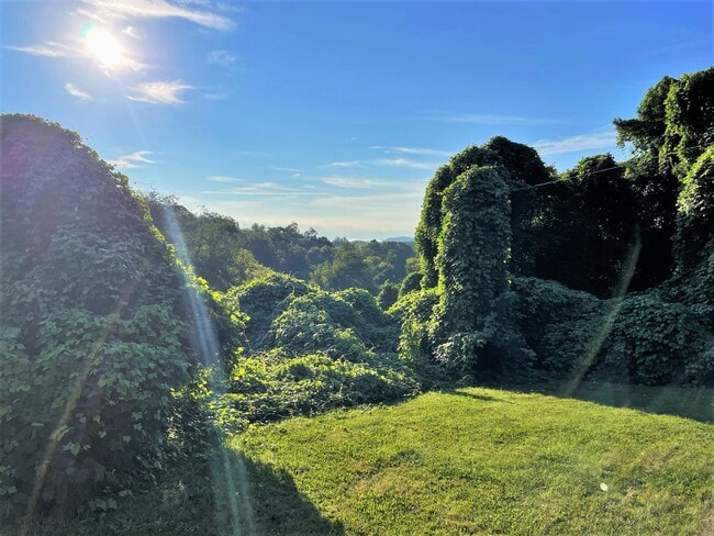 Photo - 3210 Landview Dr