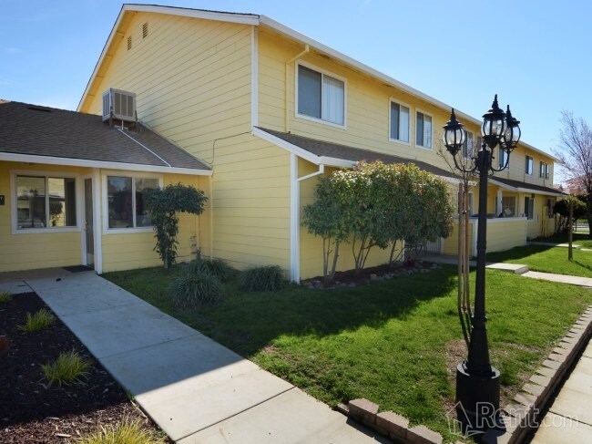 Photo - Shady Lane Apartments
