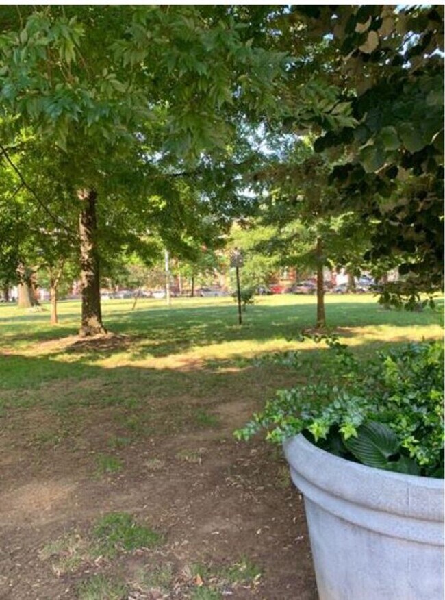 Photo - Cozy 2BR/1Bath on lovely quiet block, community garden, Calvert Street park!