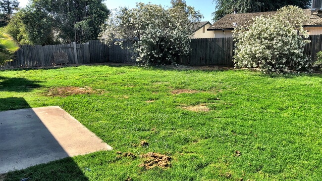 Photo - 1715 E Mary Ave