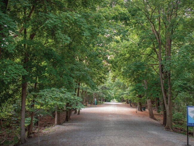 Ogilvie on the Park