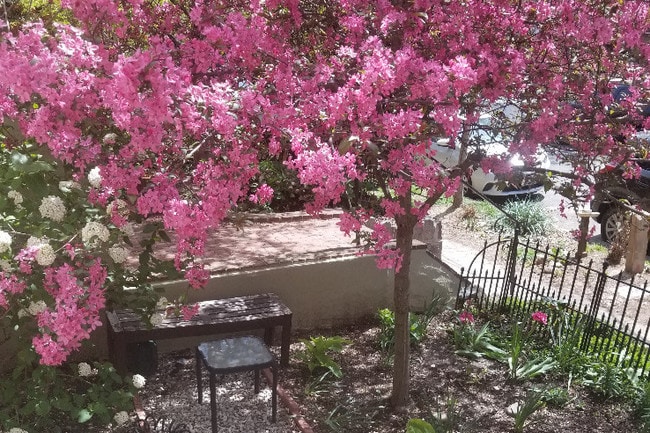 Building Photo - 1745 Kilbourne Pl NW Unit 2