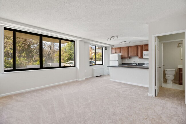 Photo - The Brittany