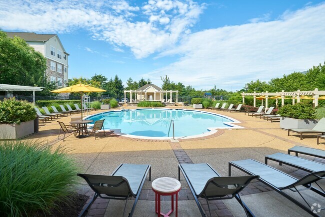 Building Photo - The Courts at Dulles Rental