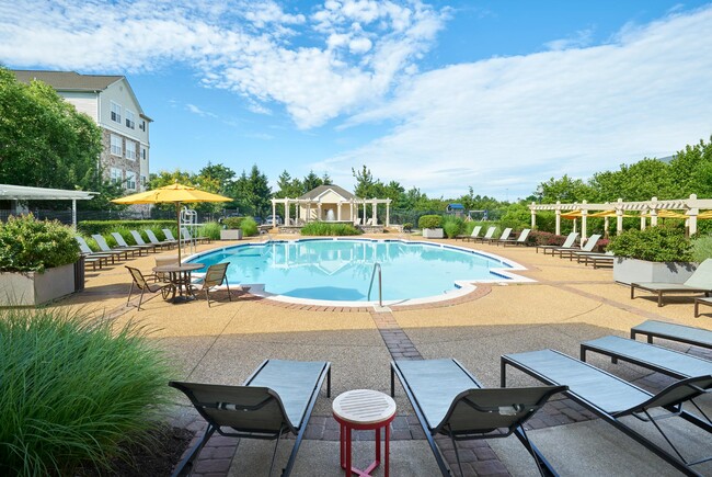 Building Photo - The Courts at Dulles Rental