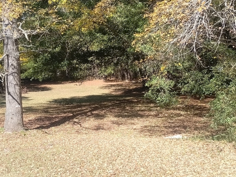 Photo - 210 Wares Cross Rd