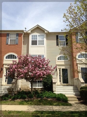 Photo - 125 Rachel Rd