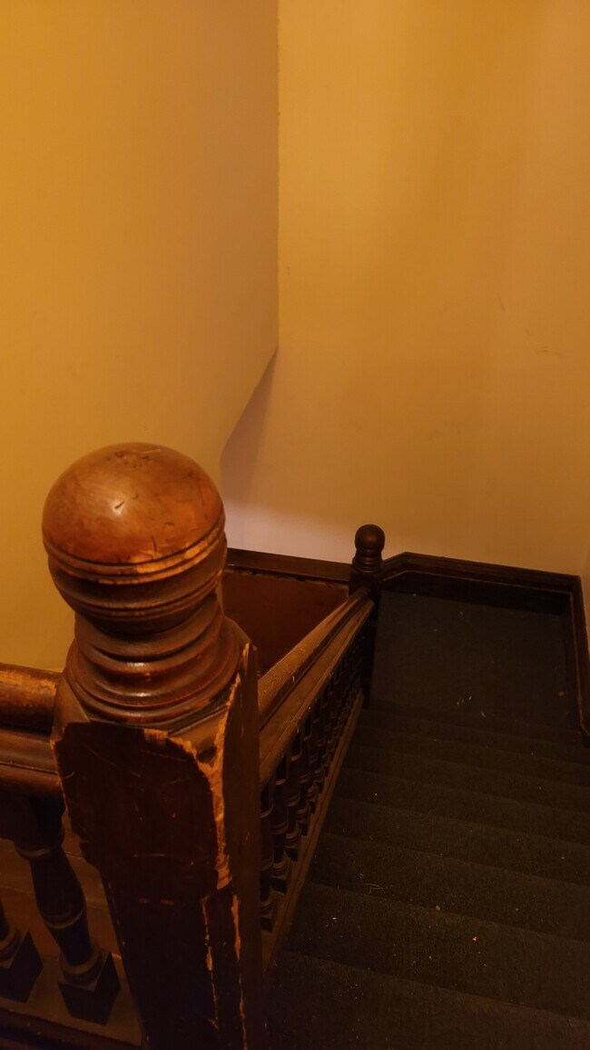 Photo - 50 Vansittart Av Unité 50