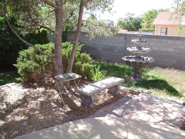 Backyard - 7204 Avenida La Costa NE