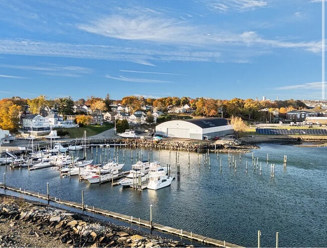 Photo - 67 Armington St