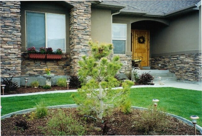 Photo - 228 E Delgada Ln