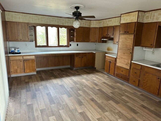Photo - 12 Reed St Exn