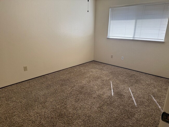 Photo - Holly Unidad Holly