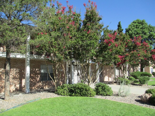 Somerset Park, 1201 Madeira Dr SE, Albuquerque, NM, 87108-4627 - Somerset Park