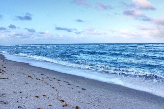 Photo - 329 Madison St Unidad SI FL2-ID1075803P