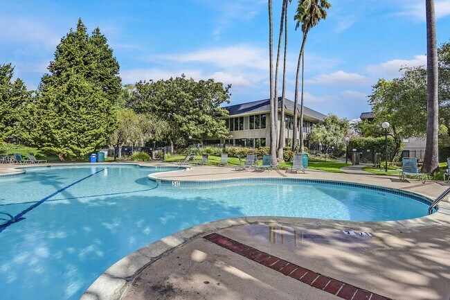 Photo - Studio at Shelter Creek