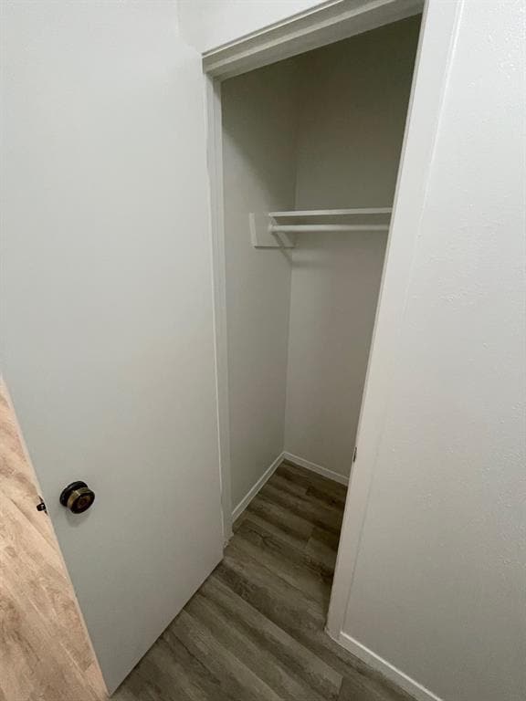 Photo - 5505 Tallow Tree Dr