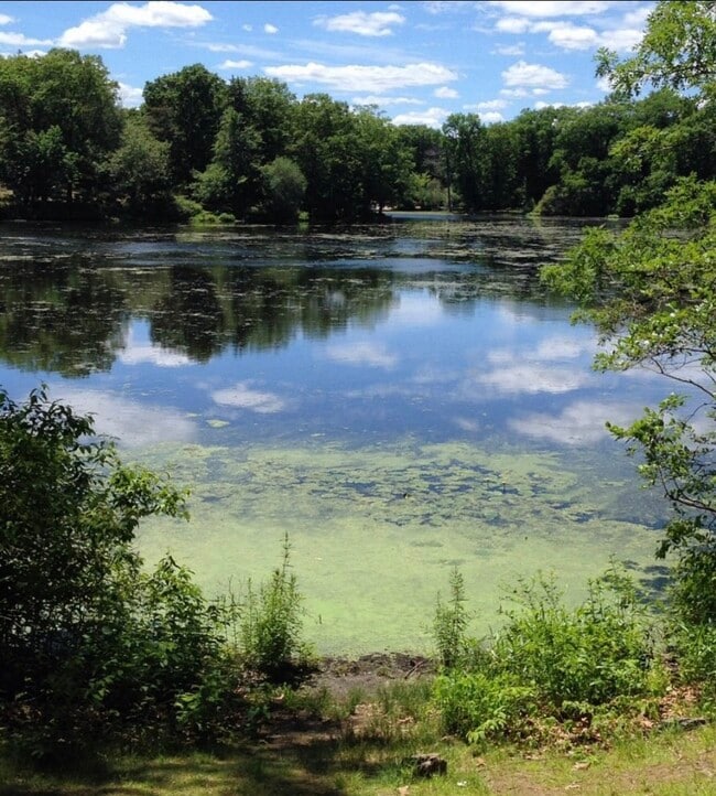 Photo - 40 Metropolitan Ave