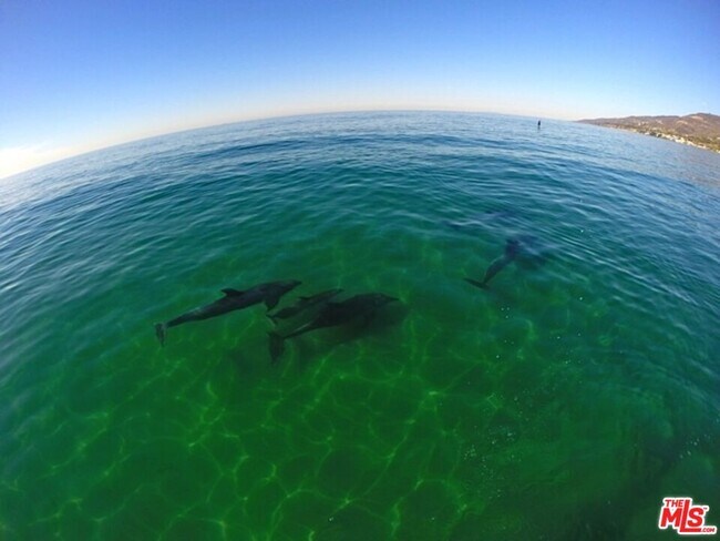 Photo - 27092 Malibu Cove Colony Dr