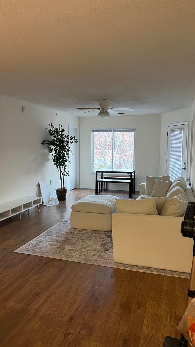 Room in Condo on Collegiate Cir