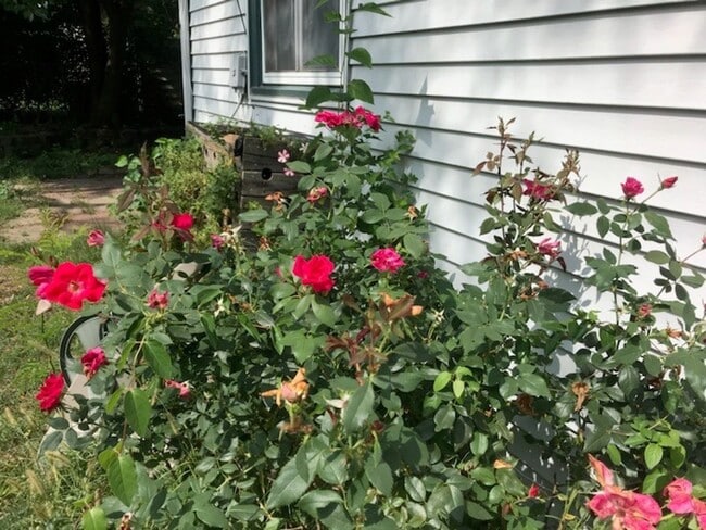 Photo - Nice, 4BR rancher with appliances, attached garage and fenced back yard.