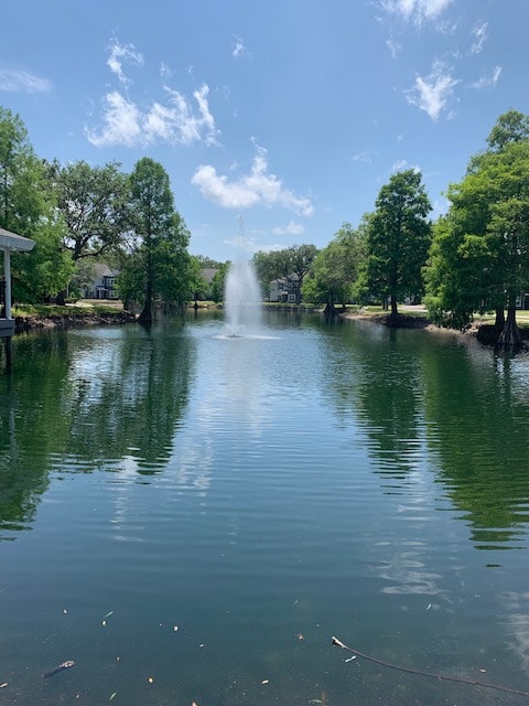 Photo - Wellington Woods