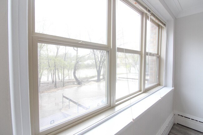 Living room Windows - 43 Roslyn Road