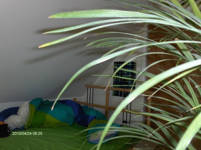 Photo - 72 Nash St Unit 2