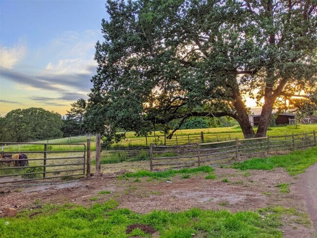 Photo - Beautifully Renovated 5 Bedroom Farmhouse outside of Newberg